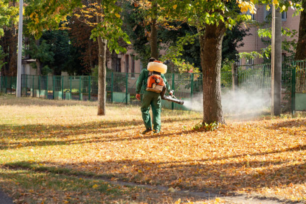 Best Pest Control Treatment  in USA